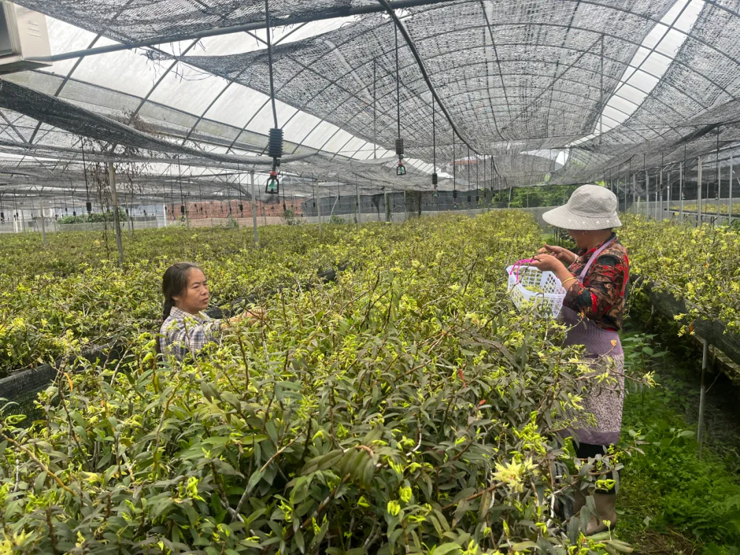 暫無(wú)圖片