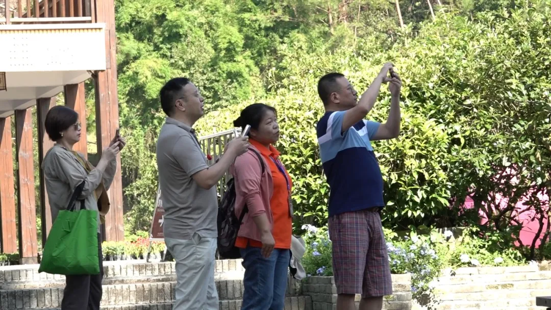 暫無圖片