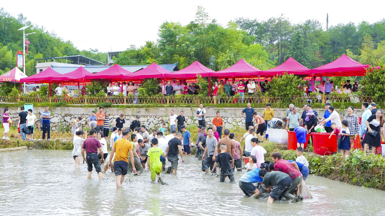 暫無圖片