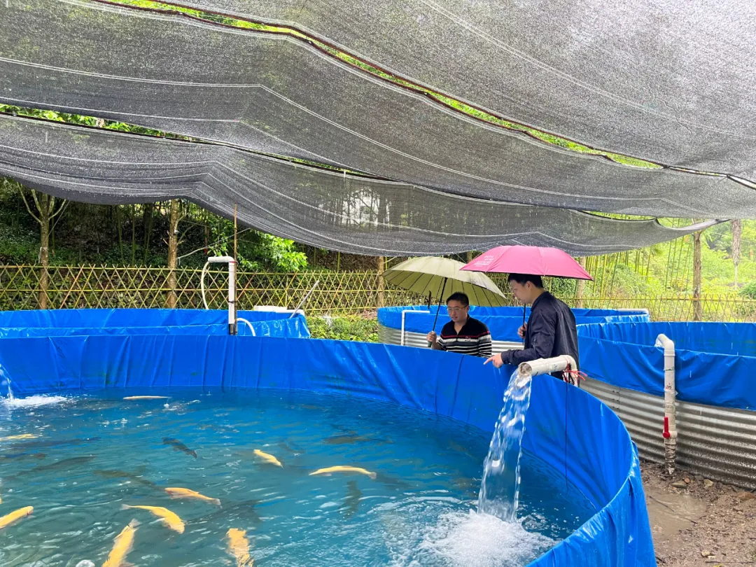 聚力鄉村全面振興 | 賴源：“冷水魚”游出鄉村振興“熱經濟”