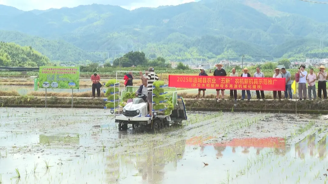 近日，連城縣在姑田鎮舉辦“雜交水稻制種母本高速機械化插秧”技術示范現場會，通過推廣新裝備和強化安全生產宣傳，為即將到來的“雙搶”農忙筑牢基礎。  圖片  在示范現場，一臺星月神八行高速插秧機在田間高效作業，僅需約20分鐘即可完成一畝地的插秧任務，效率較傳統人工插秧提升約30倍。這臺專為雜交水稻制種母本量身定制的裝備，采用寬窄行栽插模式，能將每畝基本苗數精準控制在1.8萬株左右。  圖片     種植大戶 江積輝： 使用制種母本高速插秧機，一畝地人工成本可以節約300元，更關鍵是機器插的株距行距精準，母本抽