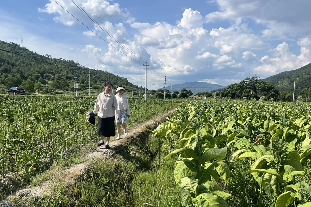 連城羅坊：學用貫通破難題 激活發展新動能