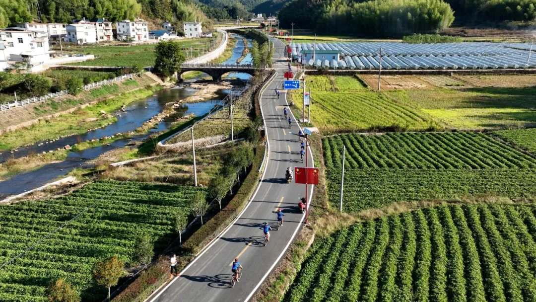 【聚力鄉(xiāng)村全面振興】連城：深入實(shí)施“3212”工程 ，奏響“六個(gè)共富”新樂(lè)章