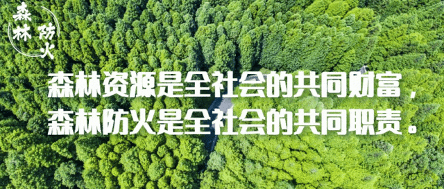 森林防火｜牢記典型案例，謹防森林“上火”！