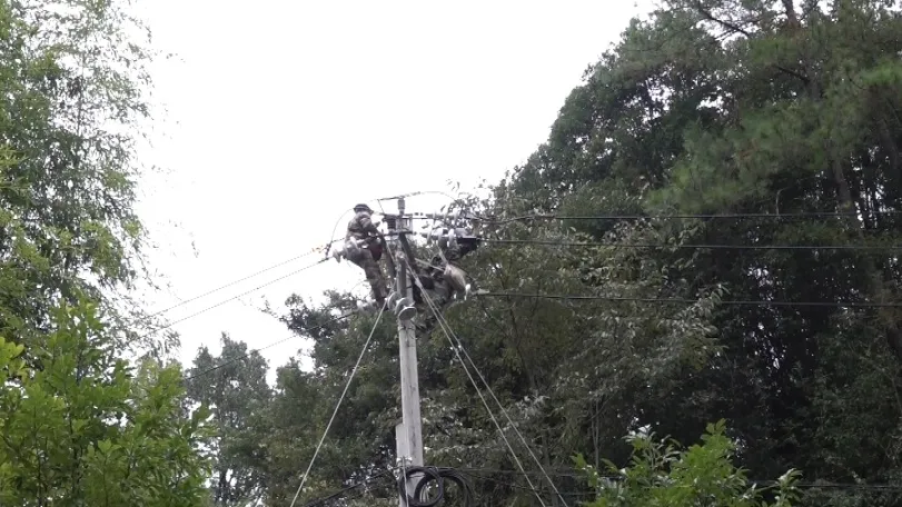 【扎實推進鄉村全面振興】連城：農配網改造升級 鄉村振興“電力十足”