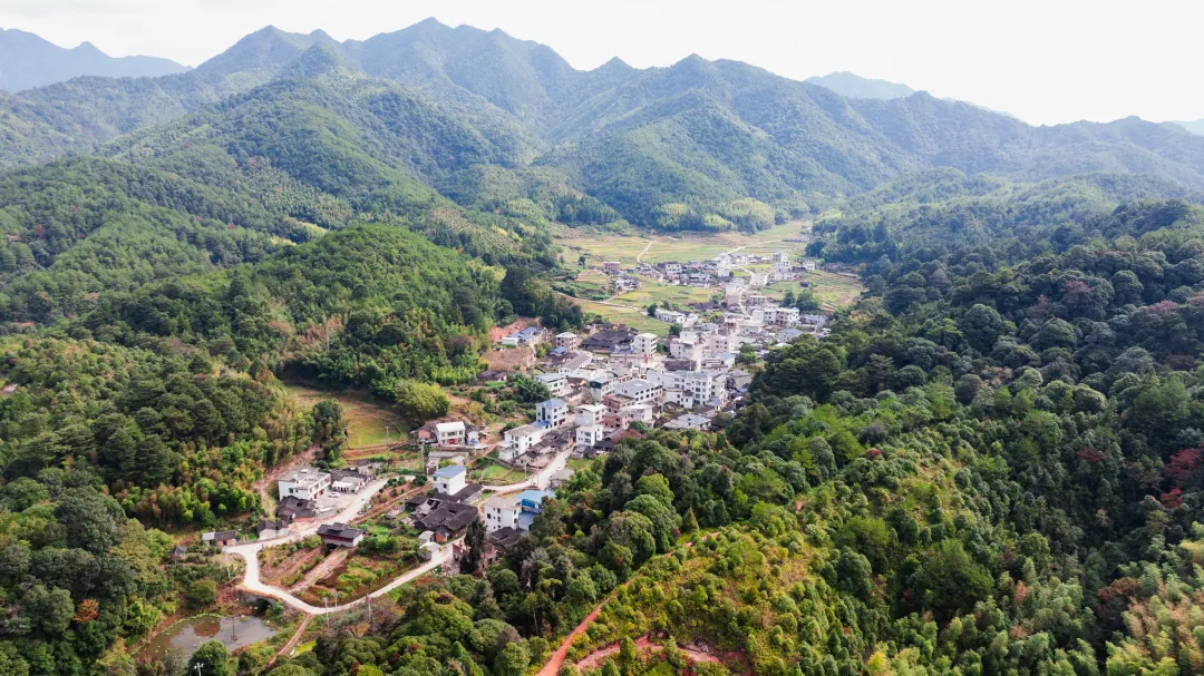 莒溪樂地：層林盡染艷麗冬景
