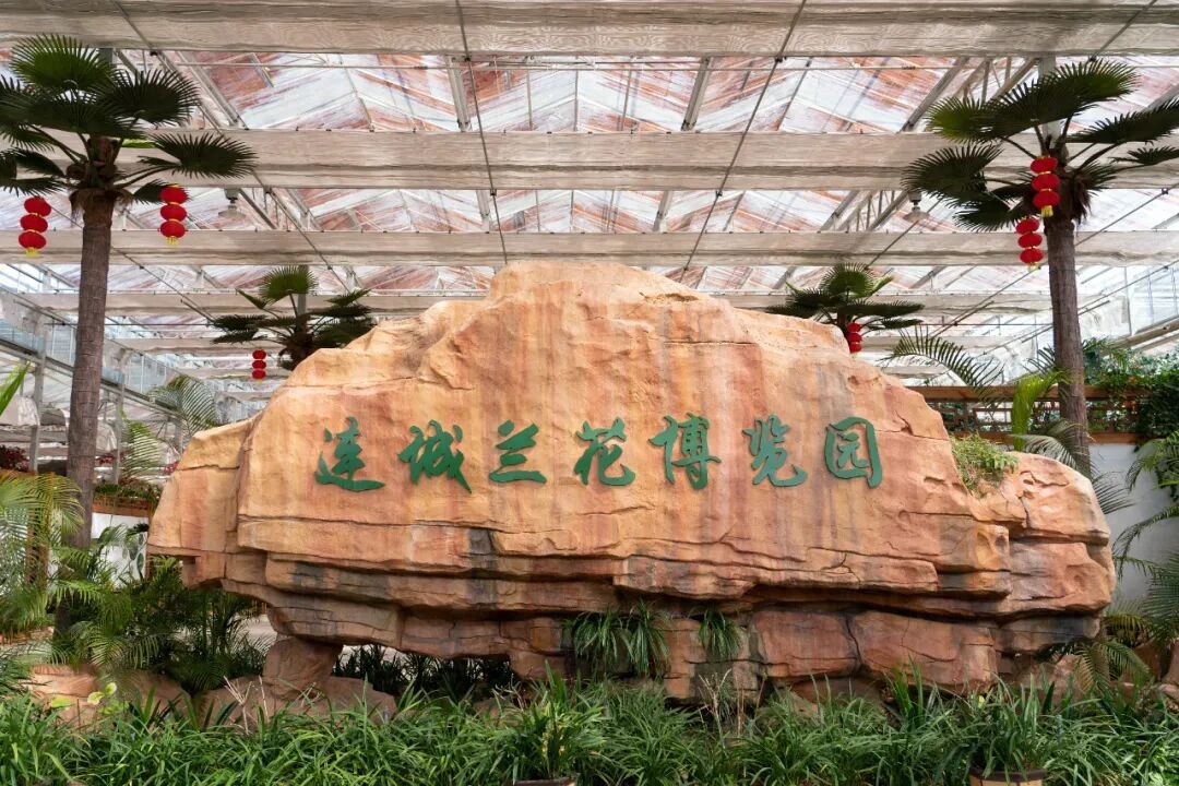 2025連城寒蘭節(jié)暨第八屆寒蘭精品展即將開展