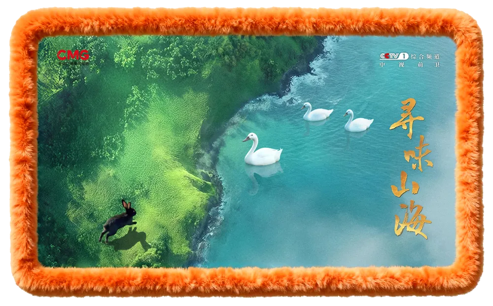 鎖定本周日18：20！跟著央視《尋味山?！罚怄i連城白鴨的風物故事