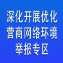 “深化開展優化營商網絡環境”舉報專區